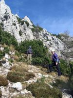 Klik za večjo sliko