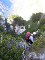 Klik za večjo sliko