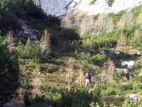 Klik za večjo sliko