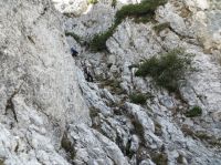 Klik za večjo sliko