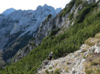 Klik za večjo sliko