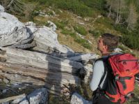 Klik za večjo sliko