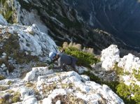 Klik za večjo sliko