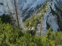 Klik za večjo sliko