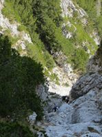 Klik za večjo sliko