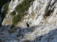 Klik za večjo sliko