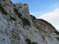 Klik za večjo sliko