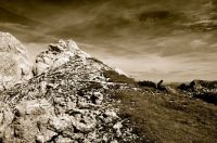 Klik za večjo sliko