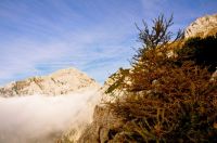 Klik za večjo sliko