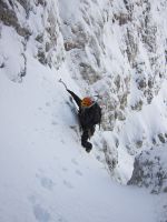 Klik za večjo sliko