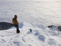 Klik za večjo sliko