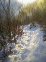 Klik za večjo sliko