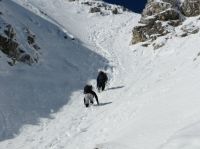 Klik za večjo sliko