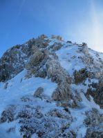 Klik za večjo sliko