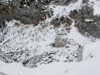 Klik za večjo sliko