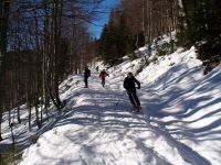 Klik za večjo sliko