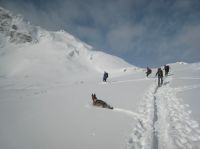 Klik za večjo sliko