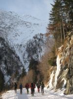 Klik za večjo sliko