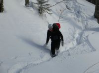 Klik za večjo sliko