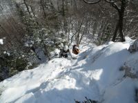 Klik za večjo sliko