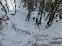 Klik za večjo sliko