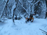 Klik za večjo sliko