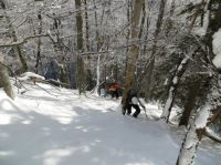 Klik za večjo sliko