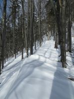 Klik za večjo sliko