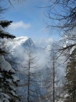 Klik za večjo sliko