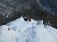 Klik za večjo sliko