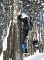 Klik za večjo sliko