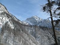 Klik za večjo sliko