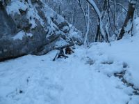 Klik za večjo sliko