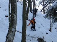 Klik za večjo sliko