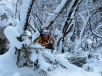 Klik za večjo sliko