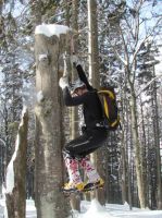 Klik za večjo sliko