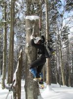 Klik za večjo sliko