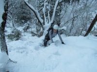 Klik za večjo sliko