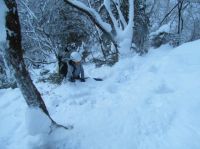 Klik za večjo sliko