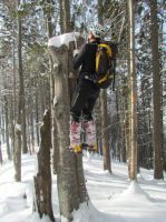 Klik za večjo sliko