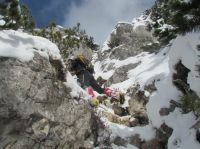 Klik za večjo sliko