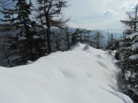 Klik za večjo sliko