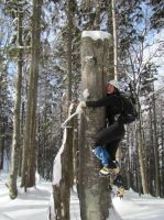 Klik za večjo sliko