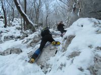 Klik za večjo sliko