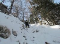 Klik za večjo sliko