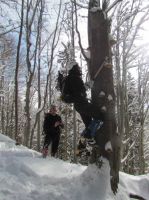 Klik za večjo sliko