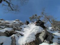 Klik za večjo sliko