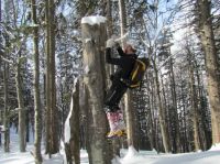 Klik za večjo sliko