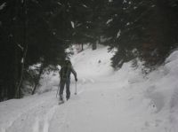 Klik za večjo sliko