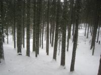 Klik za večjo sliko